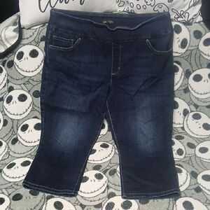 Lee Women's Deep Indigo Cropped Jeans Plus Size